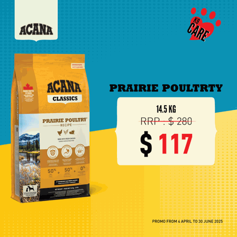 Online Pet Food Singapore